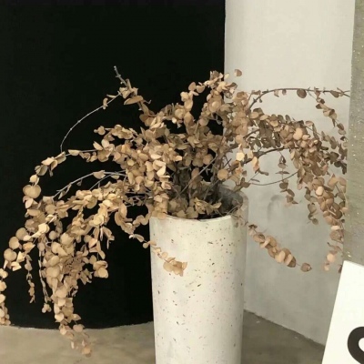 Furry数位绘画实用技巧兽圈群